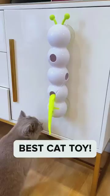 Interactive Cat Toy Intelligent Motion Activated Wack A Worm Post Toy With Tail Automatic Emerging from The Hole Teasing Cat Toy