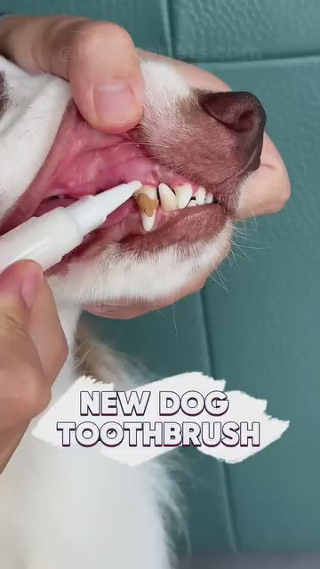 Pet Dental Care Restorative Gel Deep Cleaning Toothpaste Removes Tooth Stains Yellow Teeth Whitening Kit for Dogs and Cats Mouthwash